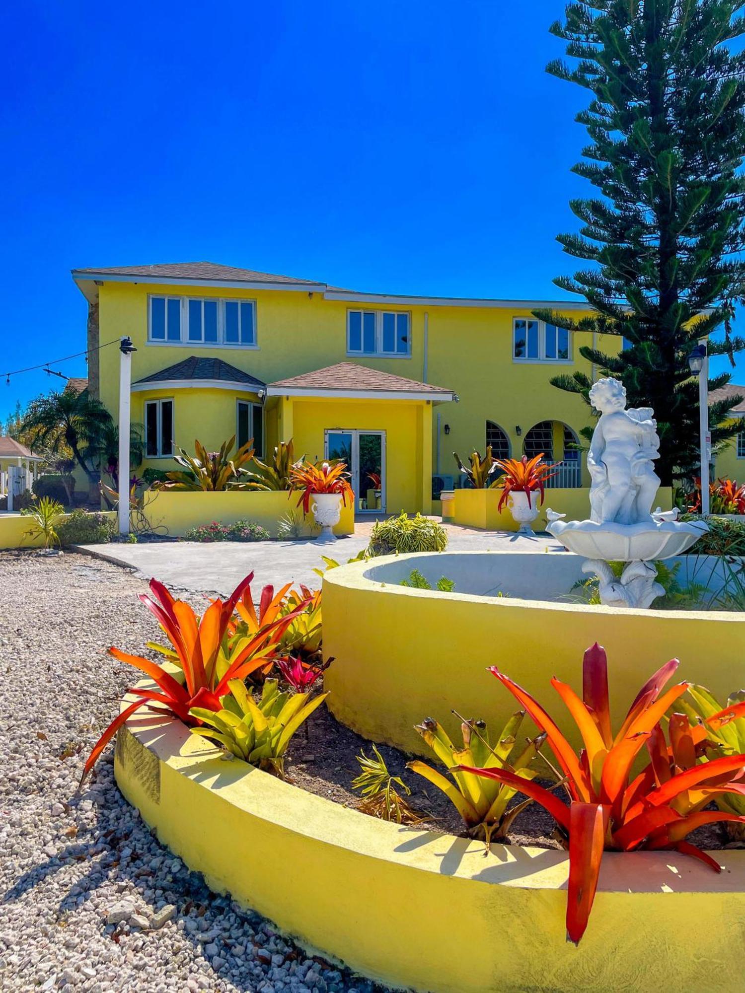 Golden Palms House Bed and Breakfast Νασάου Εξωτερικό φωτογραφία
